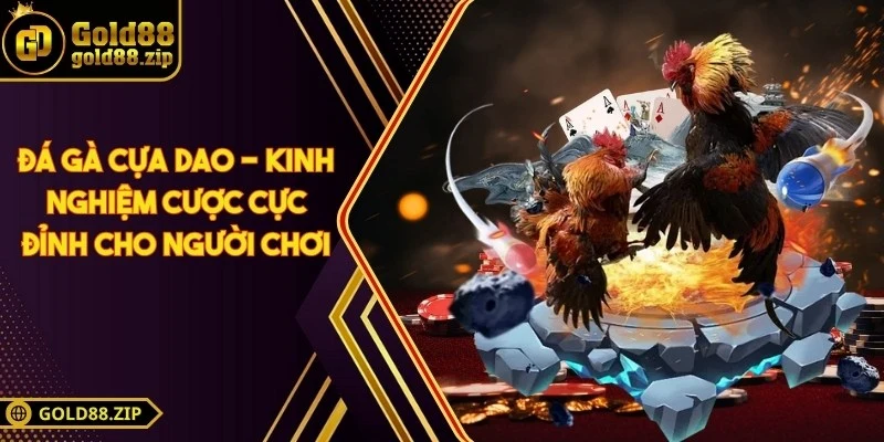 Đá gà cựa dao - Kinh nghiệm cược cực đỉnh cho người chơi