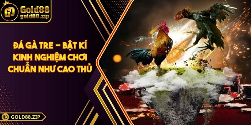 Đá gà tre - Bật kí kinh nghiệm chơi chuẩn như cao thủ