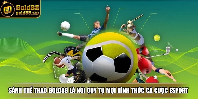 Sảnh thể thao Gold88 là nơi quy tụ mọi hình thức cá cược esport hiện đại